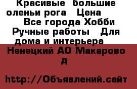 Красивые  большие оленьи рога › Цена ­ 3 000 - Все города Хобби. Ручные работы » Для дома и интерьера   . Ненецкий АО,Макарово д.